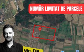 Terenuri Premium lângă Pădurea Bistra – Oportunitate Limitată - Poză 1