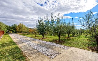 Casa individuala + teren 2.014 mp + livada Mioveni -Colibasi - Poză 4