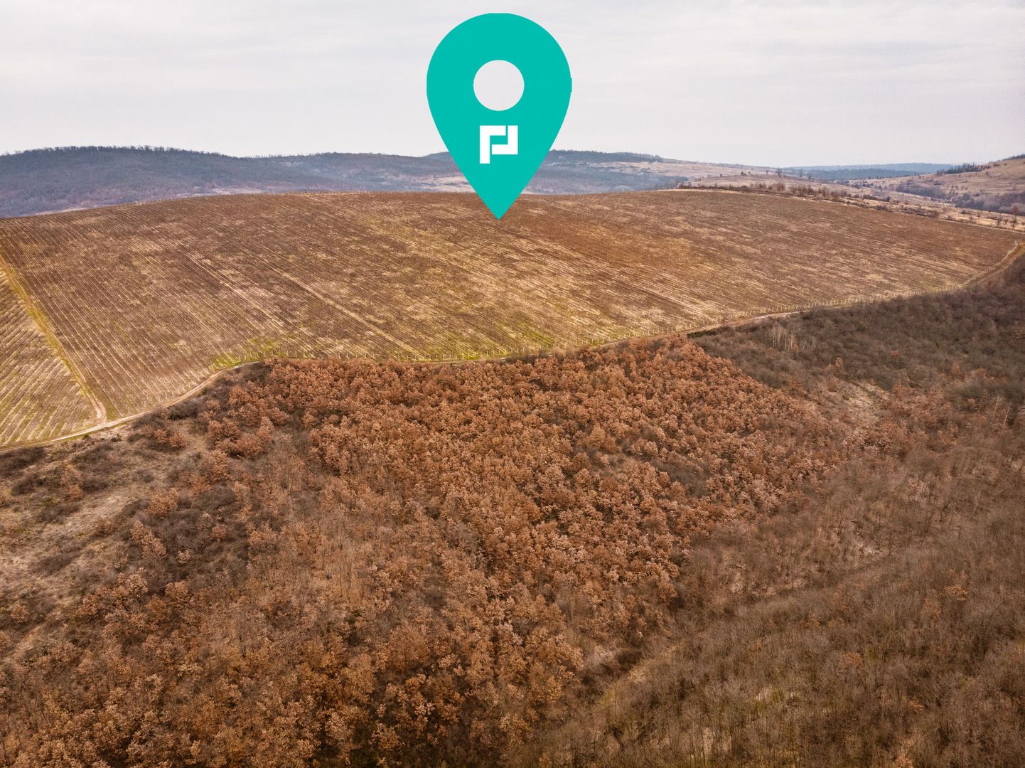 Vie de 115 Hectare în satul Dud, județul Arad - Poză 6