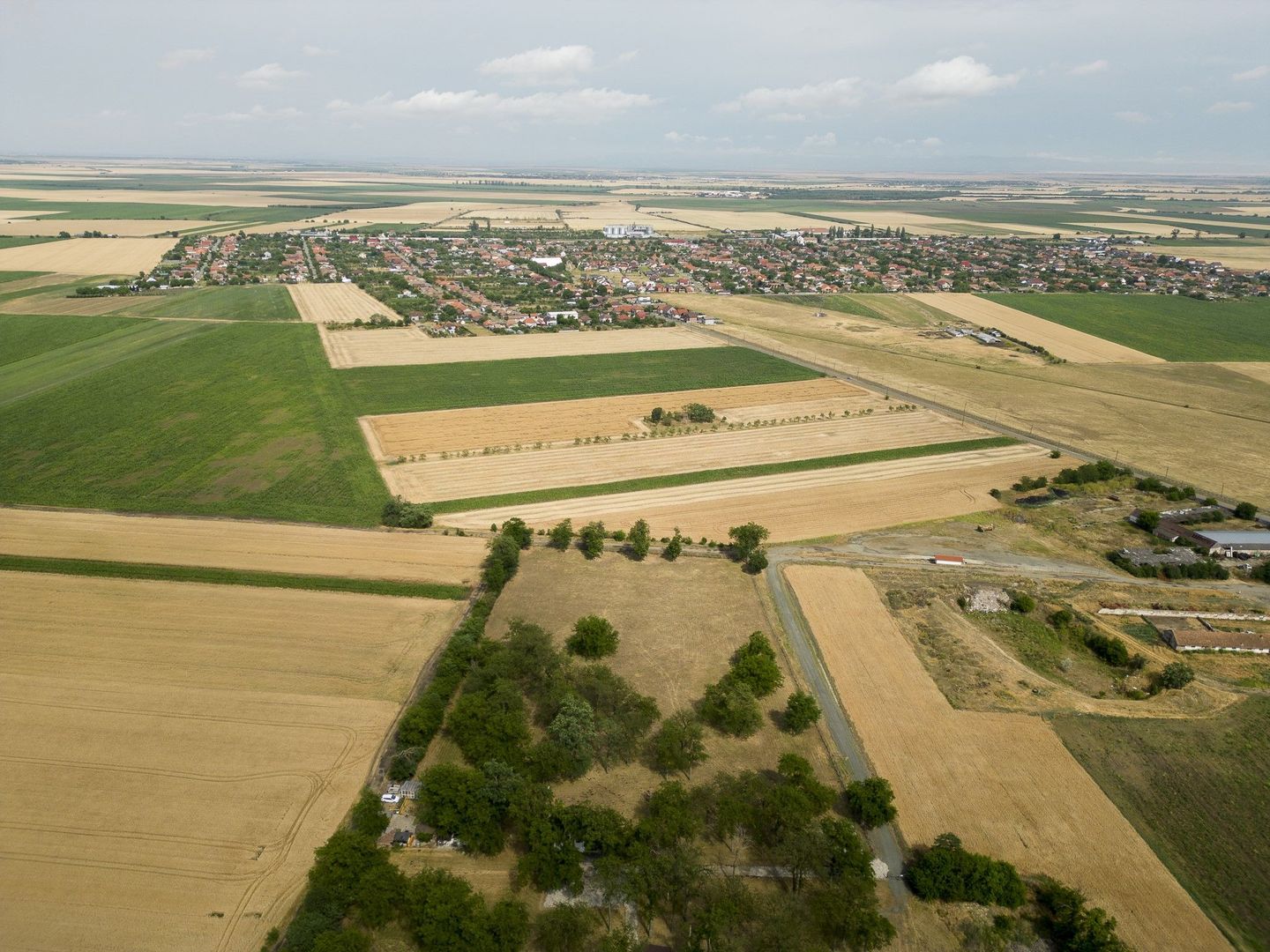 Teren intravilan Şofronea - Poză 5