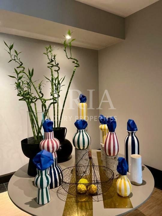 APARTAMENT 4 CAMERE GRADINA 175M2  CISMIGIU - Poză 9