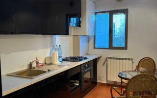 Apartament 2 camere de vanzare Doamna Ghica - Poză 4