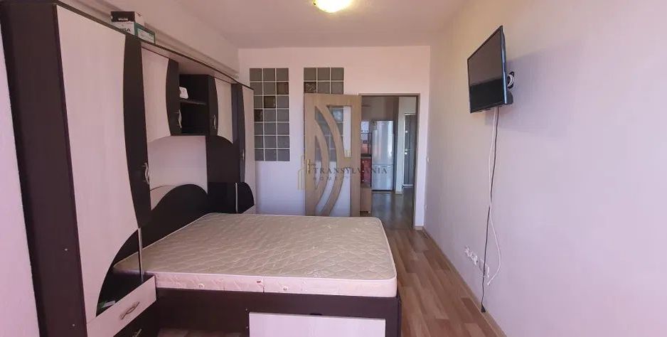 Apartament 2 camere, Doamna Stanca - Poză 4