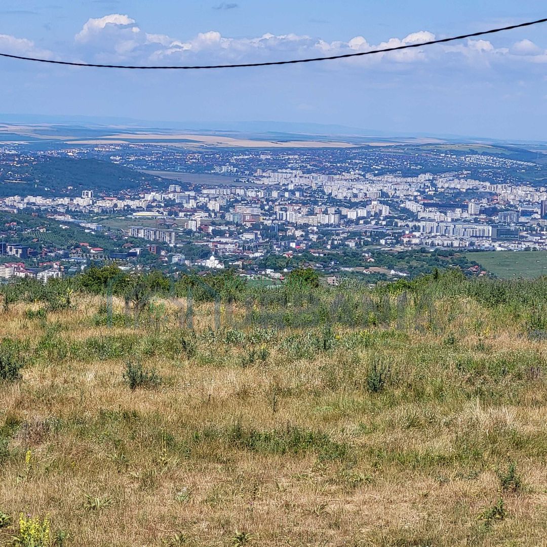 Teren intravilan de vânzare în satul Păun, comuna Bârnova – loturi de 1.000 mp și 870 mp - Poză 3