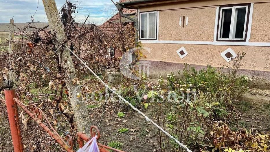 Vand casa cu teren suprafata mare, in Dedrad, Reghin MS - Poză 3