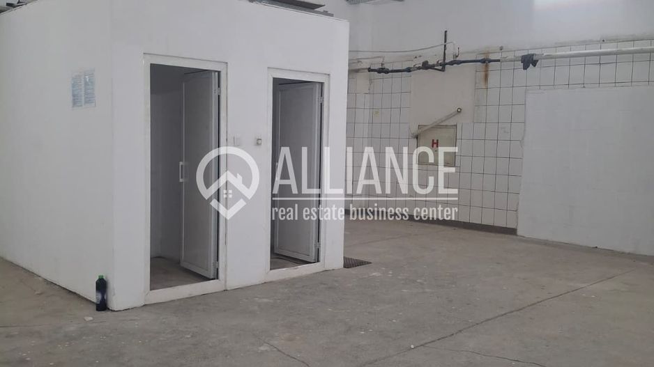 ZONA INDUSTRIALA (COD04)-Hala 270 mp ideal service auto - Poză 4