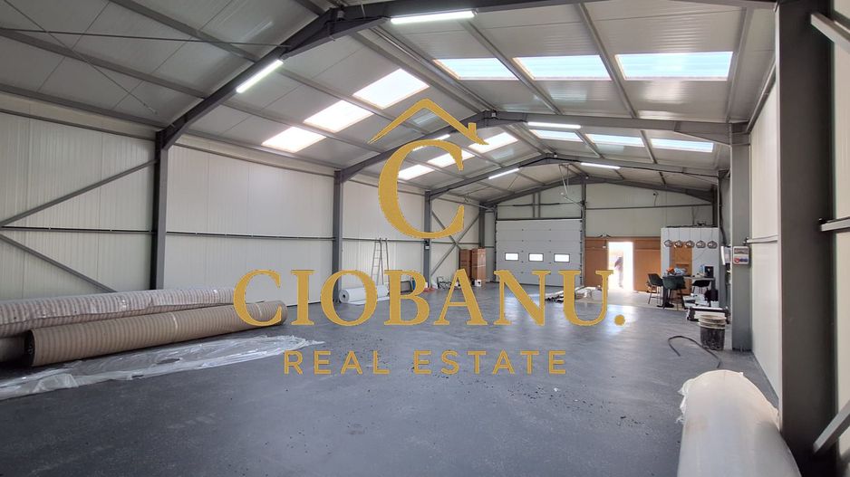 Hala de vanzare in Racarii de Jos - Poză 3