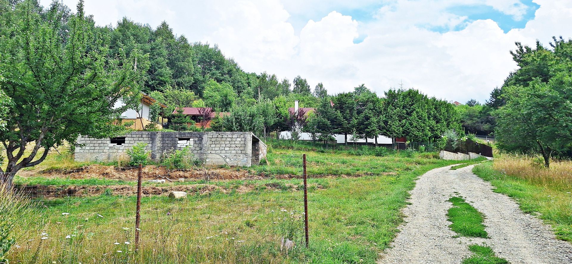 Bran- Predelut, 1000mp teren pentru casa de vacanta, pret 45 euro/mp - Poză 14