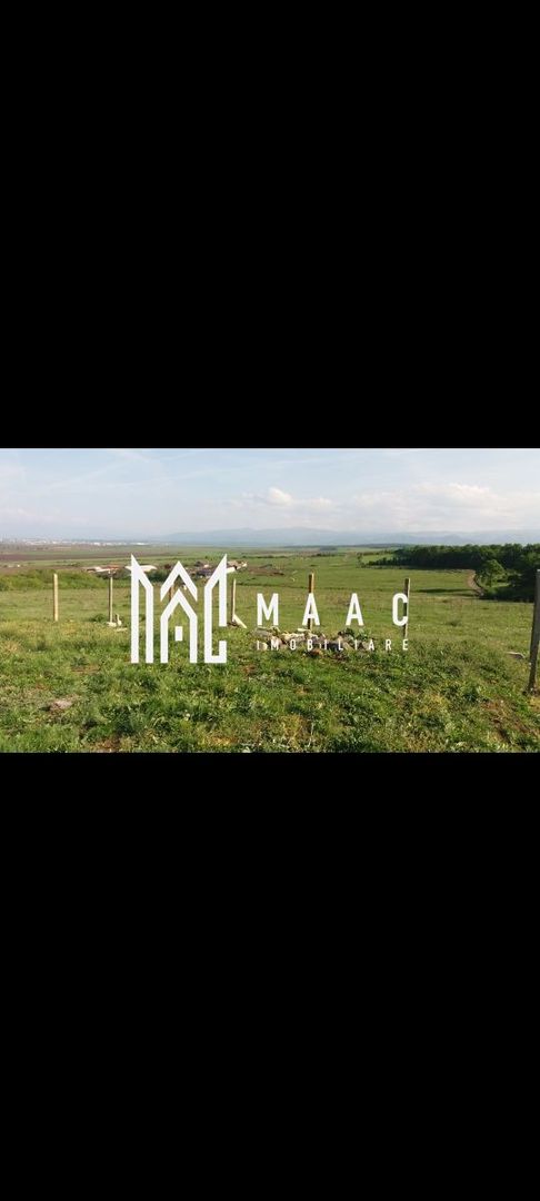 Vand teren Sura Mica - Poză 2