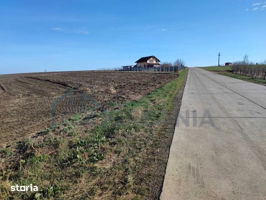 Teren de vânzare în Rediu-Horlești, 7850 mp, cu deschidere la DJ 248b, parcelabil - Poză 3