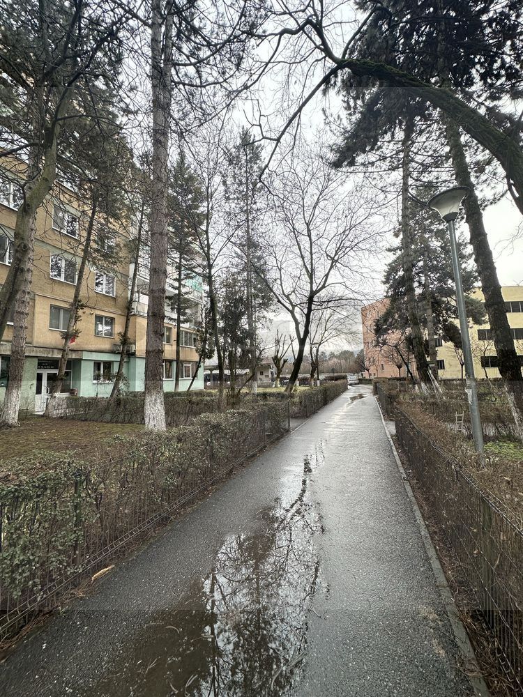 Apartament 3 camere decomandate, etaj intermediar, Parcul Detunata - Poză 7