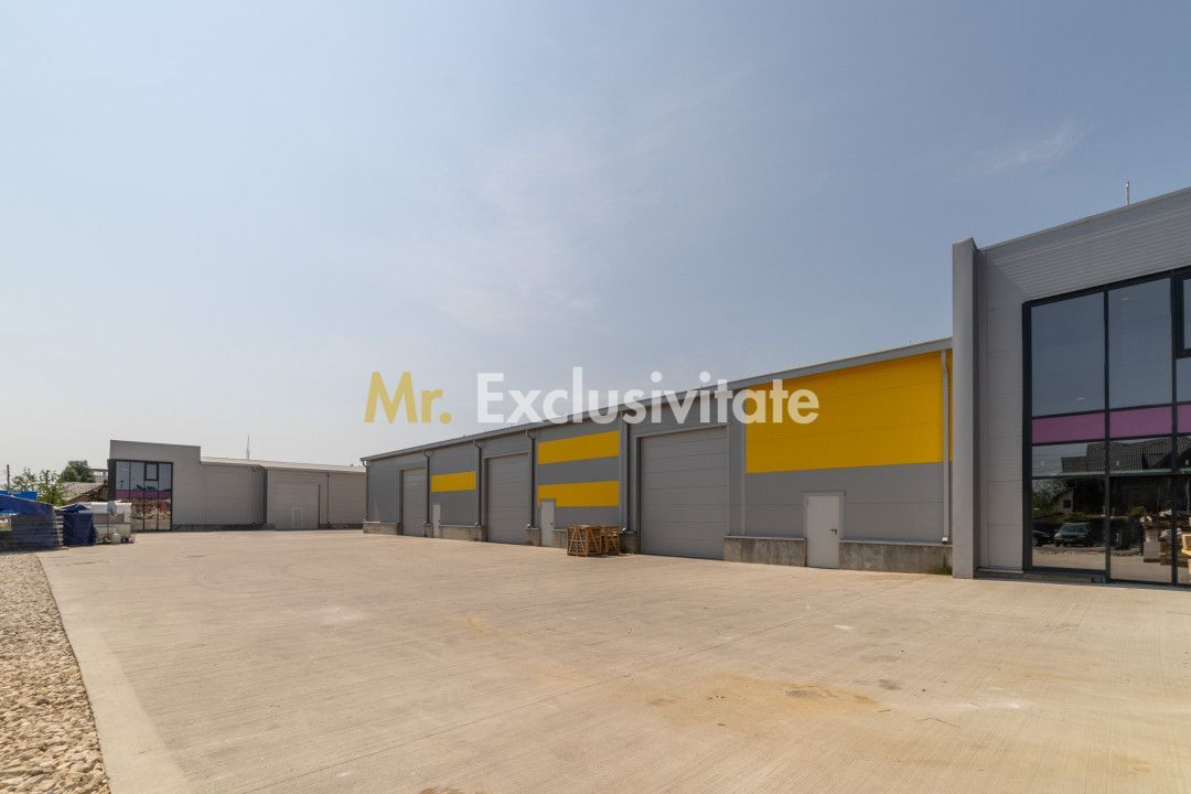 Inchiriere hala noua zona Bascov la DN 7C - Poză 8
