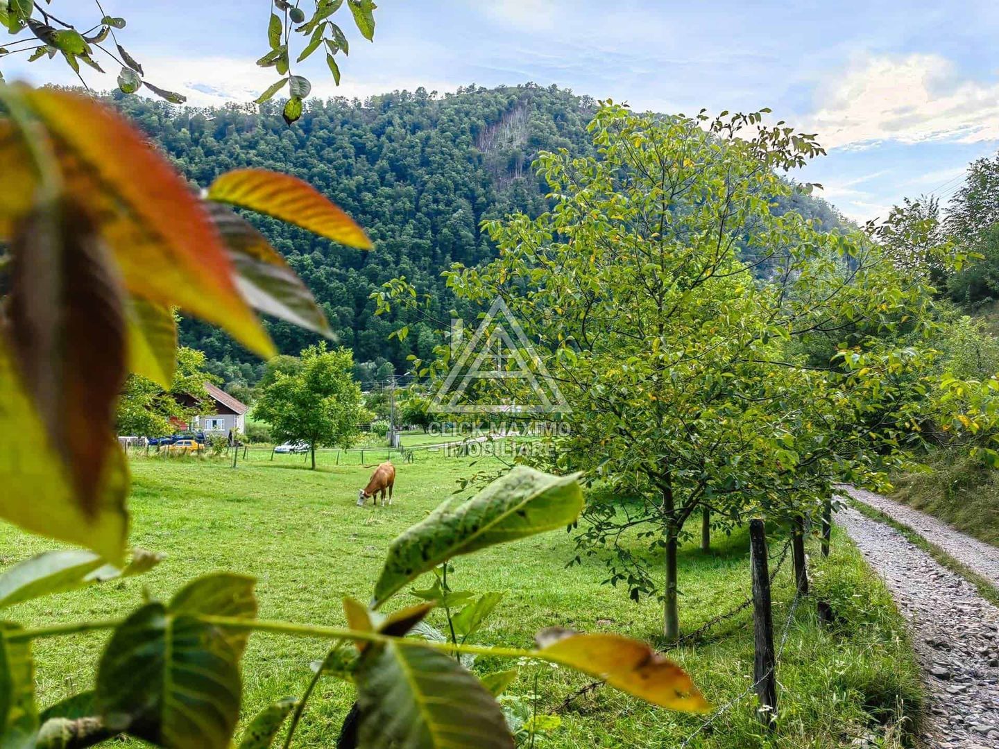 Casa,anexe si14.328 mp teren partial intravilan, com. Bulz, jud. Bihor - Poză 11