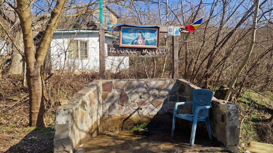 Teren extravilan, 23 400 mp, Cuvin (Ghioroc) - Poză 3