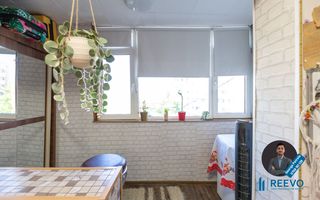 Apartament cu 3 camere decomandat,  Mioriței - Poză 16