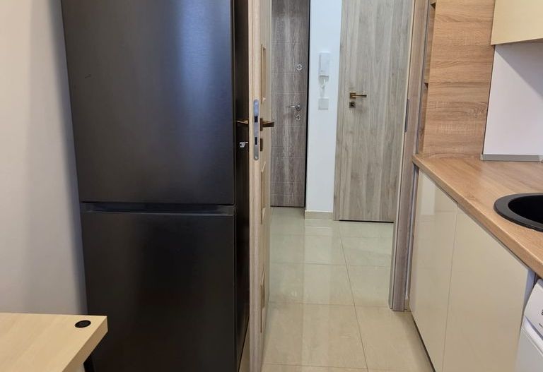 Apartament 2 camere Piata Domenii ( parcul Ciresari ) - Poză 2