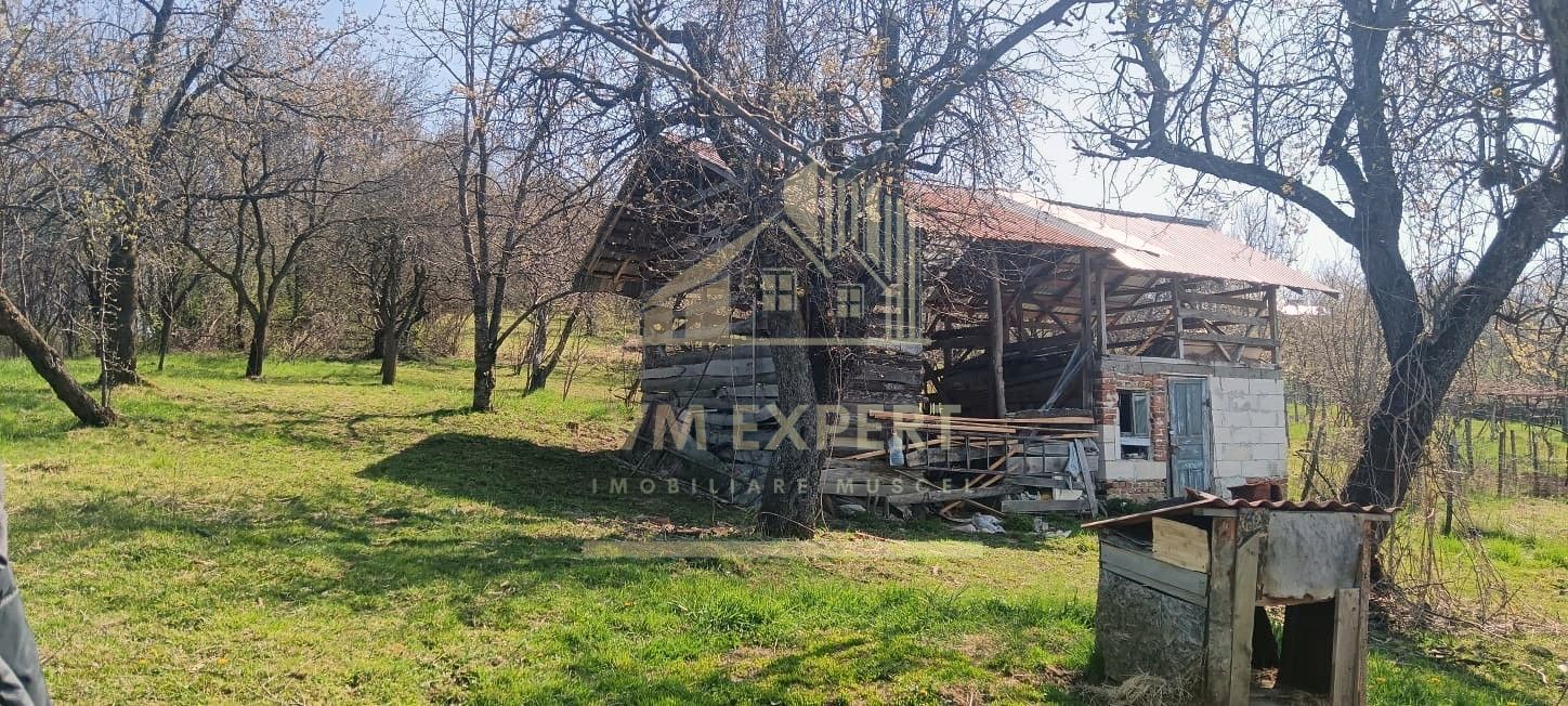 CASA 3 CAMERE TEREN 7770 MP BOTENI ARGEȘ - Poză 23