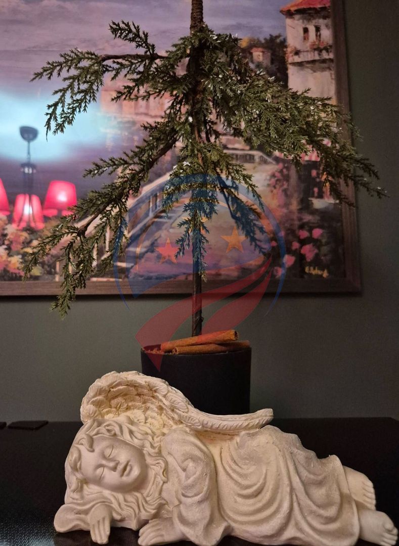 Garsoniere de inchiriat ultracentral - Poză 7