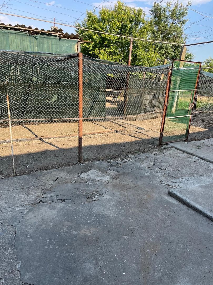 Casa parter 35 km de la Timisoara - Poză 7