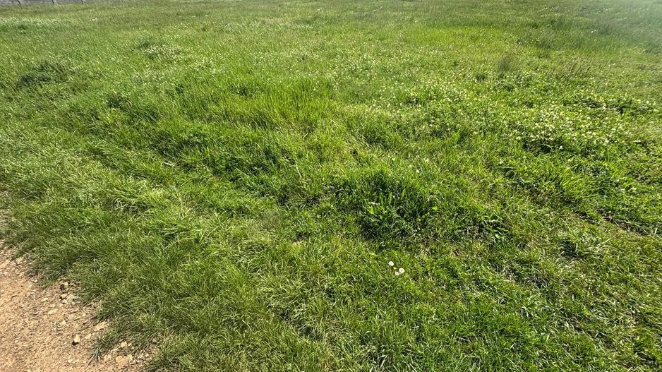 Teren de 721 mp cu Urbanism aprobat pentru duplex - Poză 7