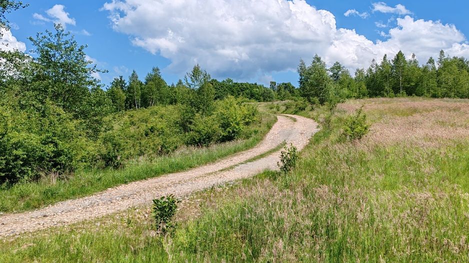 2,6 HA TEREN EXTRAVILAN FANEATA, in Muntii Apuseni, Negreni, jud. Cluj - Poză 4