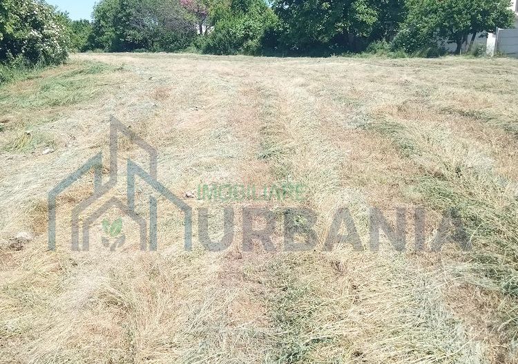 Teren intravilan 11.000 mp și casă 200 mp – Târgu Frumos - Poză 4