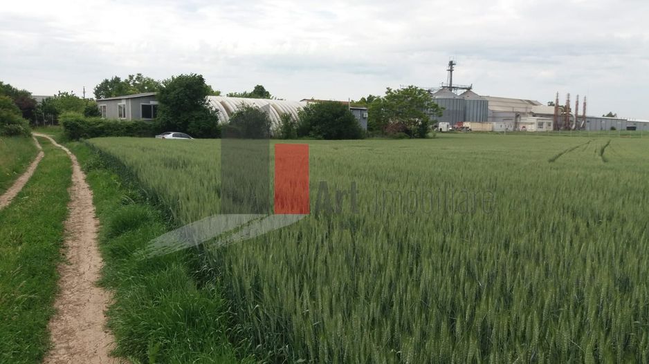 Teren Buftea cu iesire la lac - Poză 5