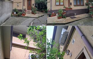 Comision 0 /Casa Maria Rosetti /  Vasile Lascăr