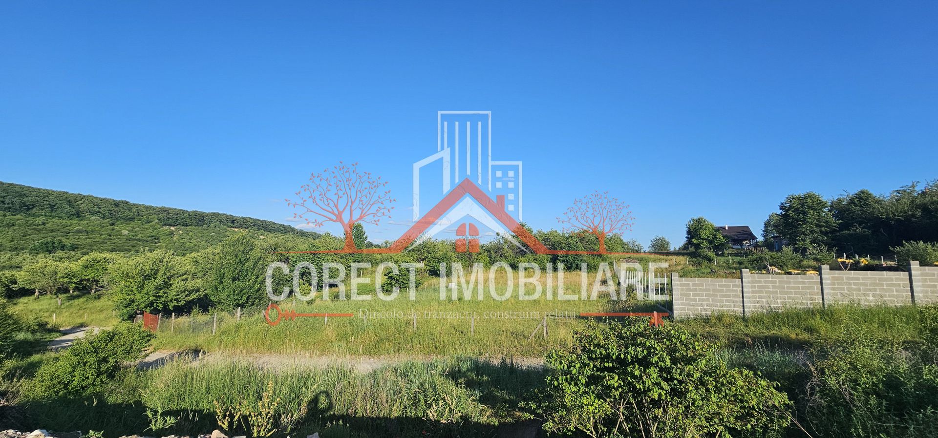 Teren extravilan 1300 mp - Poză 3