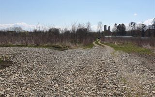 5.000 mp intravilan, parcelabil, Halchiu, Brasov - Poză 4