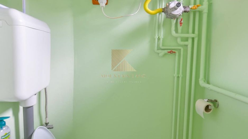 Apartament decomandat | 2 camere | 74 mpu | gradina | garaj | Centru - Poză 14