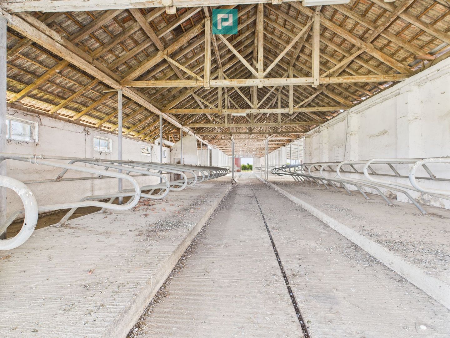 Complex industrial cu hale și teren  în Orțișoara - Poză 28