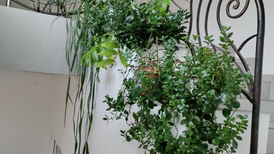 De inchiriat! Casa pretabila birouri, in Gruia - Poză 3