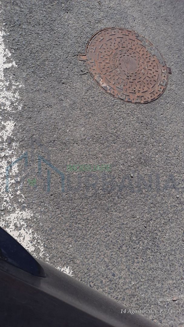 Teren 10.000 mp în Tomesti, zona Vladiceni – oportunitate de investiție - Poză 4