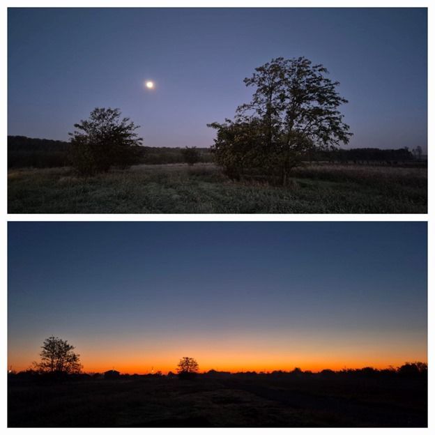 De vanzare - TEREN construcții 700 mp - lizieră - Siliștea Snagovului - Poză 1