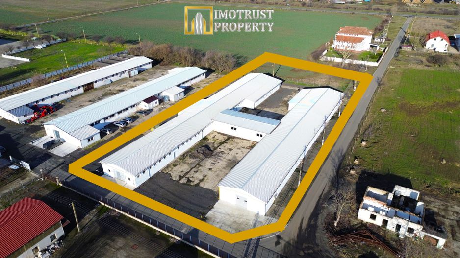 HALA INDUSTRIALA DE VANZARE | PECICA – ARAD - Poză 2