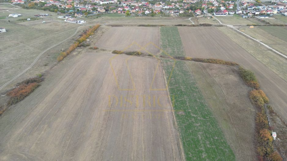 Teren arabil Intravilan 11600mp | LmP | Remetea Mare | COM 0% - Poză 3