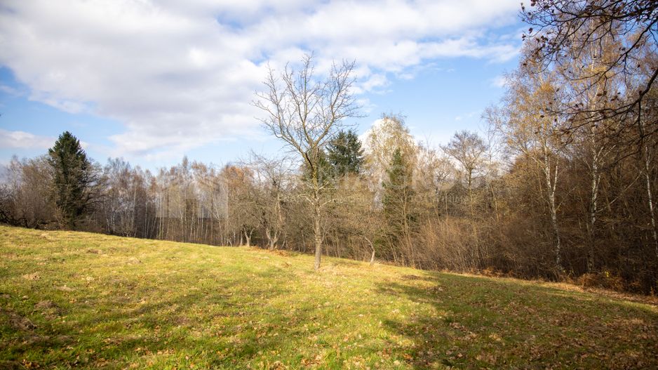 Teren intravilan, cu PUZ, Bran Tohanita,  SE ACCEPTĂ ȘI SCHIMB - Poză 5