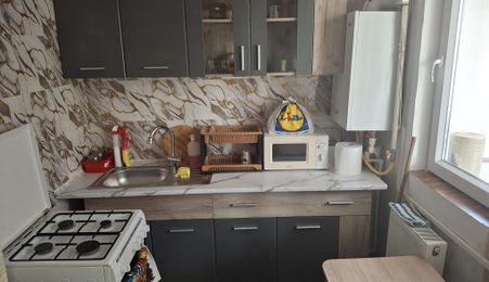 Apartament cu 1 camera, mobilat, utilat -Tatarasi Ion Creanga