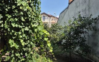 Apartament 2 camere la curte - Poză 3
