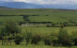 De vanzare, teren 11.500 mp – Dealul Dăii,  Vedere panoramică spre munți și lac - Poză 10