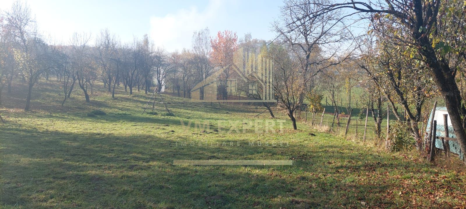 TEREN INTRAVILAN 3000 MP, CAMPULUNG - Poză 2