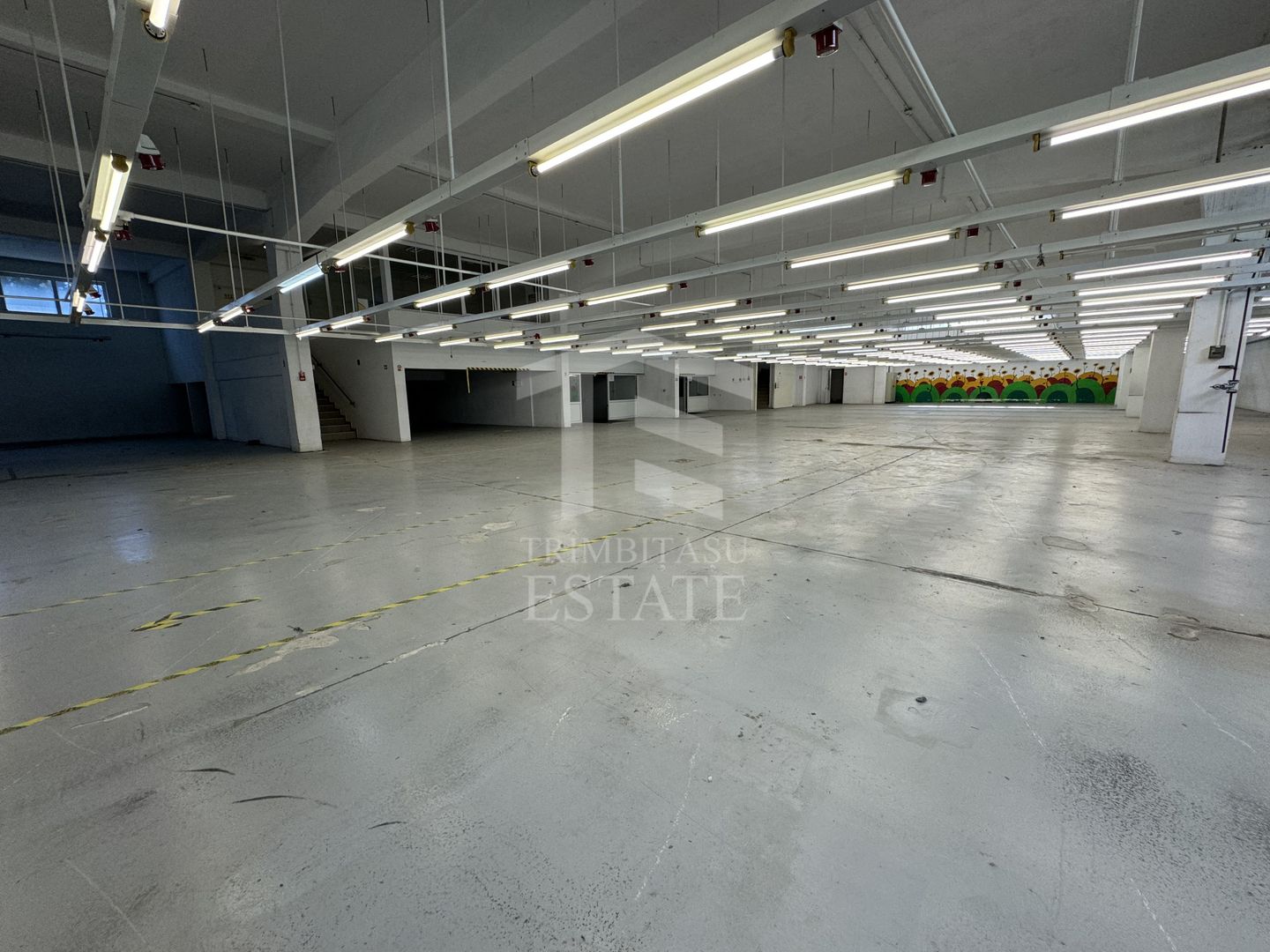 Hala productie P+1 si apartament de serviciu Navodari - c-tie beton - Poză 7