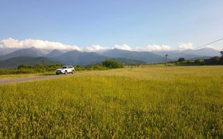 Teren extravilan de vânzare | Cârțișoara | 1800 mp - Poză 2