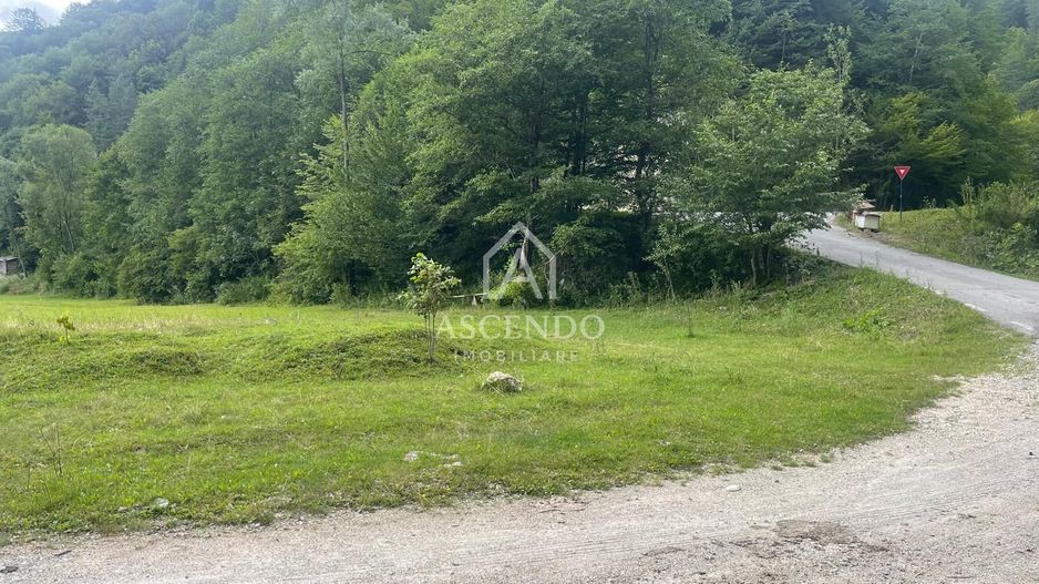 Teren pentru investiție turistică în Dâmbovicioara – Baranga | 4.500 mp | Front ~102 ml - Poză 1