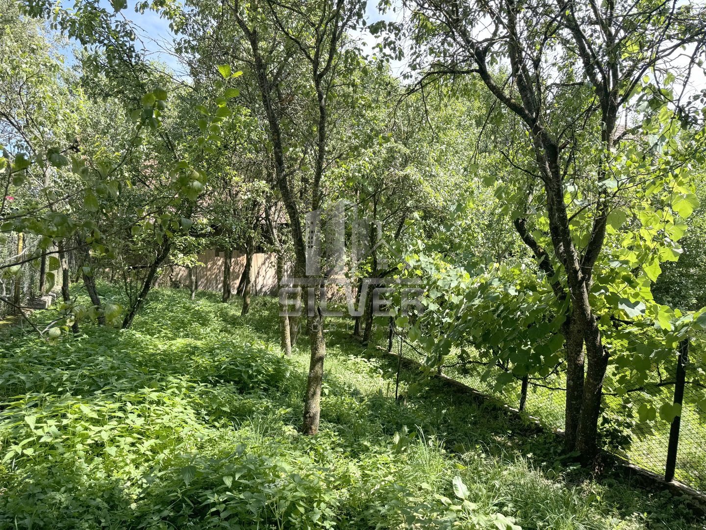 Casa individuala in Com. Capusu Mare/Sat Dumbrava. - Poză 8