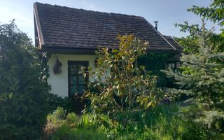 Casă de vânzare în Bazna | 0,75 ha teren | 3 CF - Poză 3
