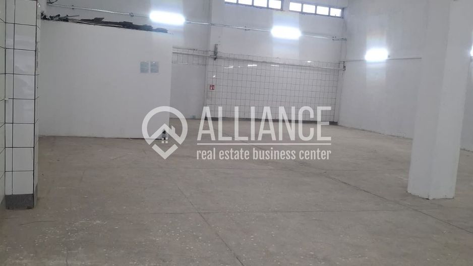 ZONA INDUSTRIALA (COD04)-Hala 270 mp ideal service auto - Poză 3