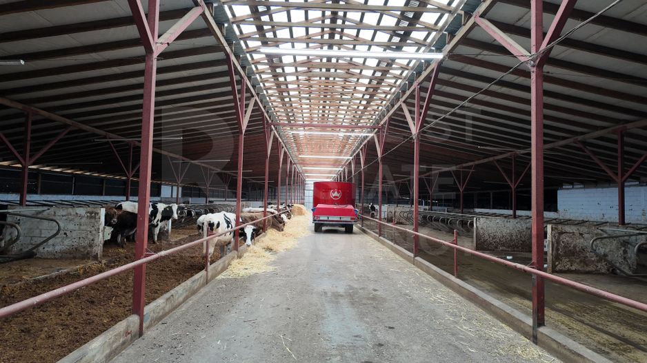 Vânzare, spațiu industrial, Raionul Glodeni, Satul Hîjdieni - Poză 5