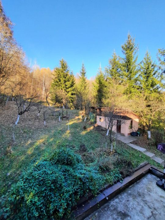 Casa 4 camere, teren 1960m2, CT, Provita, Prahova - Poză 8